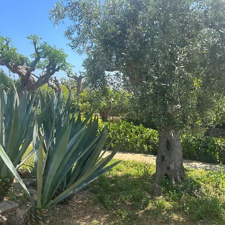 Nespolilla Holiday home *