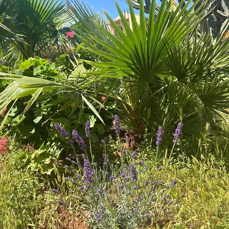 Holiday home Nespolilla Petrosino